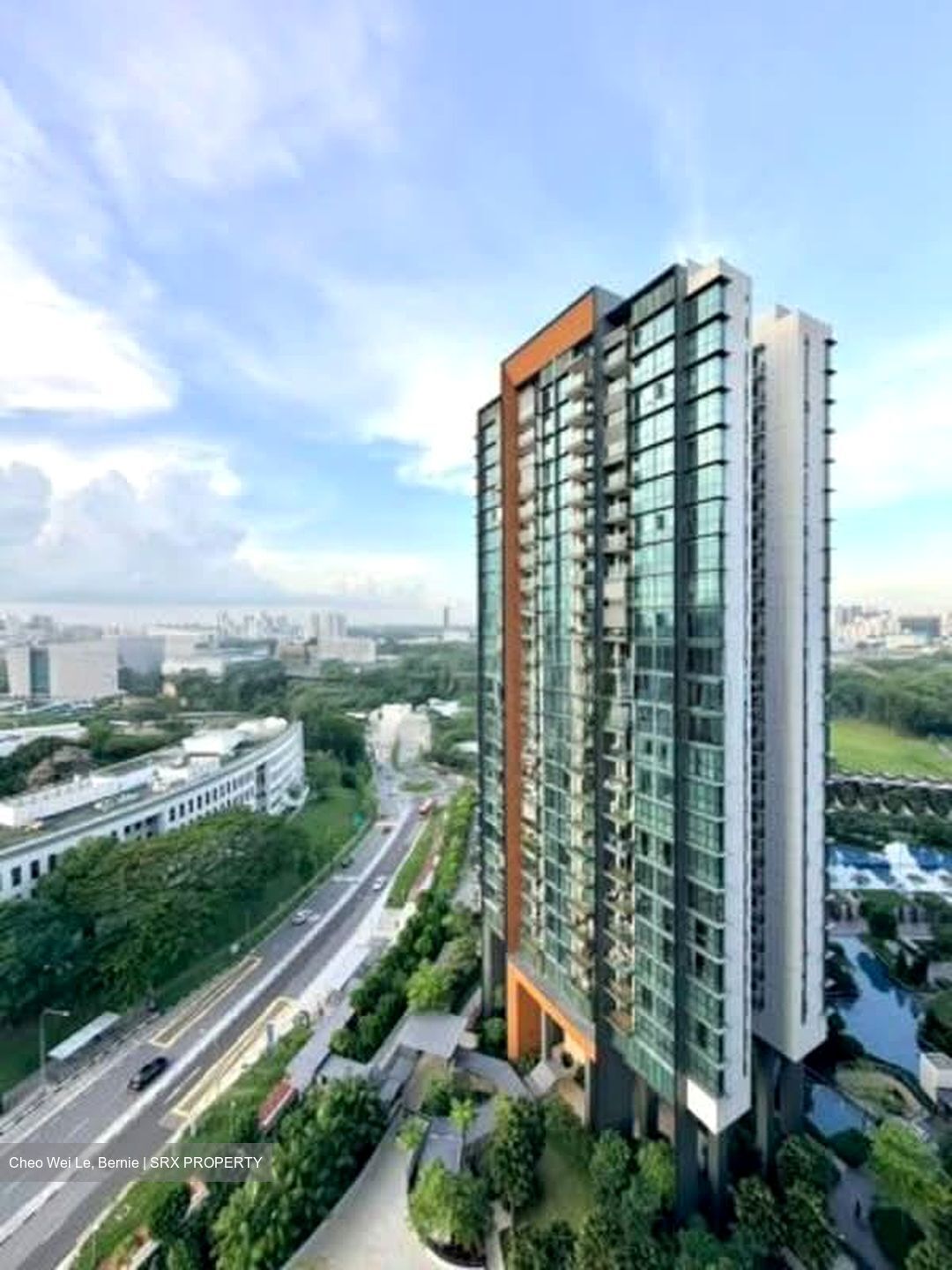 Normanton Park (D5), Apartment #552559561